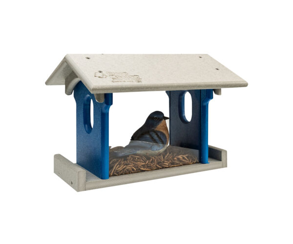 Blue Bird Feeder