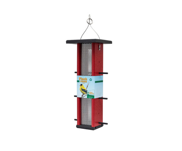 Finch Feeder
