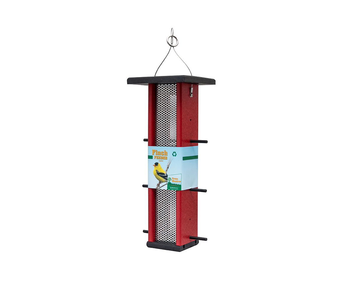 Finch Feeder