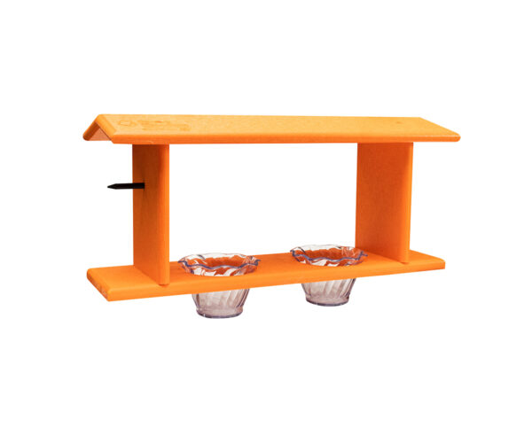 Double Oriole Feeder